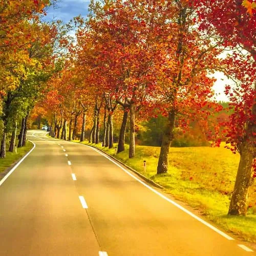 Fall-season