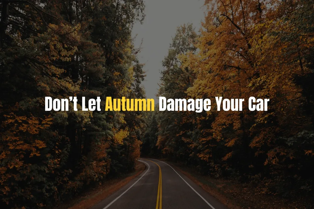 dont-let-autumn-damage-your-car